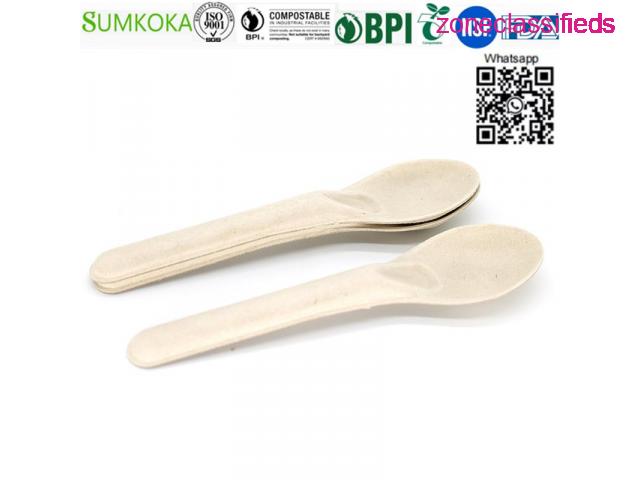 Cutlery disposable sugarcane cutlery bagasse spoon - 1/7