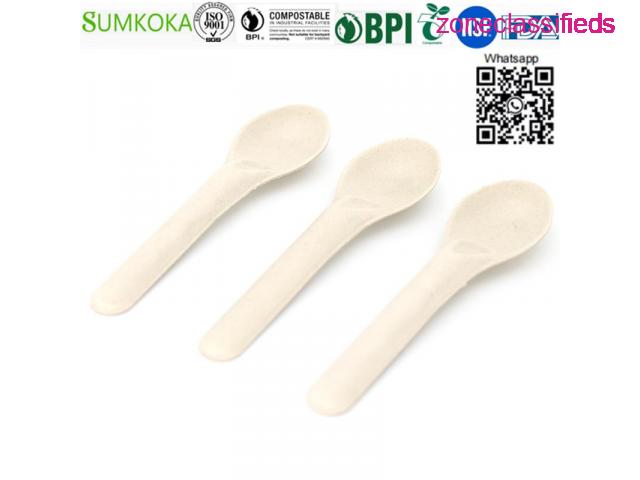 Cutlery disposable sugarcane cutlery bagasse spoon - 3/7