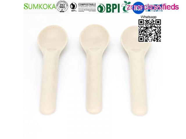 Cutlery disposable sugarcane cutlery bagasse spoon - 4/7