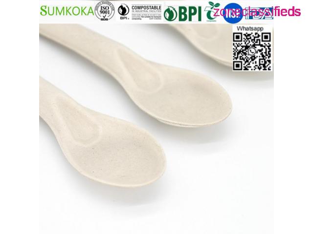 Cutlery disposable sugarcane cutlery bagasse spoon - 6/7