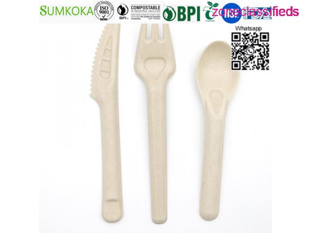 Cutlery disposable sugarcane cutlery bagasse spoon - 7/7