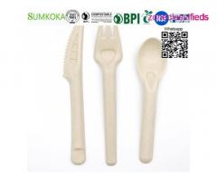 Cutlery disposable sugarcane cutlery bagasse spoon - Image 7/7