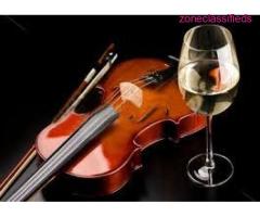 Para sus fiestas, violinistas y grupo tipico, rd!! - Image 4/8