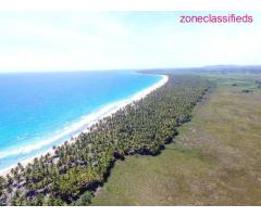 Terrenos lineales a la playa en venta, todo el pais! - Image 1/8