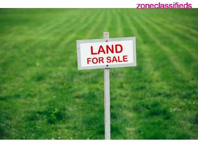 Buy Agricultural Lands at Different Locations in Anambra (Call 08157561955) - 1/1