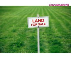 Buy Agricultural Lands at Different Locations in Anambra (Call 08157561955)