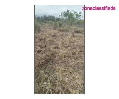 10 Plots of Land with two access for sale (Call 08036777252) - Image 1/2