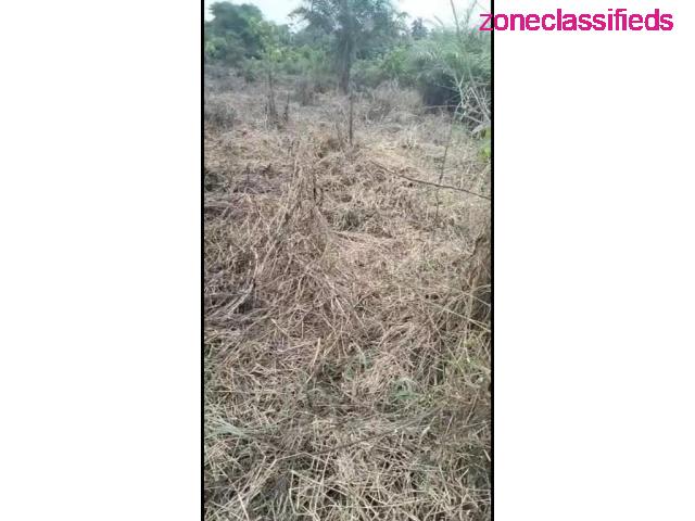 10 Plots of Land with two access for sale (Call 08036777252) - 2/2