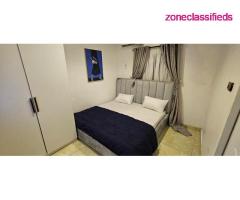 2 Bedroom Luxurious Shortlet apartment in Millennium Estate/UPS Gbagada (Call 07081783297) - Image 7/10