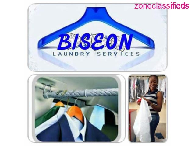 We Offer all Kinds of Cleaning Services at Biseon Nig Ltd (call 08033497166) - 3/6