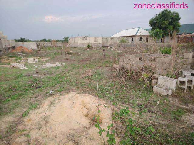 Land in a Serene Environment of Wood Island For Sale at Ikorodu (Call 08182072342) - 2/3
