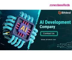 Top Class AI Development Services - Bitdeal