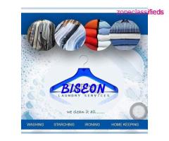 Get all Kinds of Cleaning Services at Biseon Nig Ltd (call 08033497166)