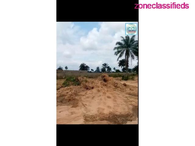 We are selling Plots of Land at Chokocho, Rivers (Call 08104889603) - 1/3