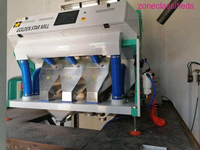 Buy Color Sorting Machine (Different capacities available) Call - 08064561580 - 1/1