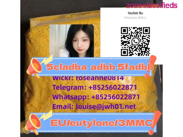 Eutylone 2FDCK etizolam 5f-mdmb2201 4fadb with facctory price - 8/8