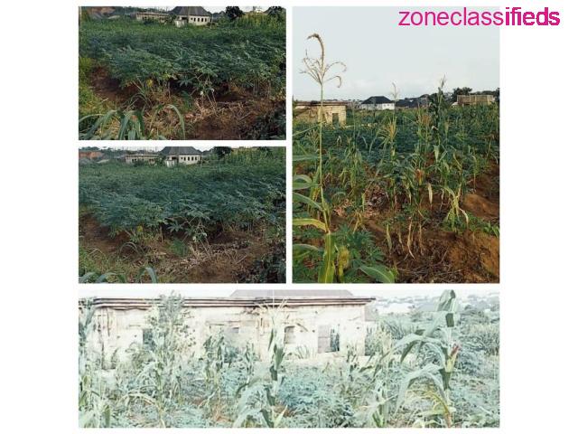 Land For Sale at a Fast Developing Area in Asaba (Call 08036488248) - 1/7