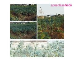 Land For Sale at a Fast Developing Area in Asaba (Call 08036488248) - Image 1/7