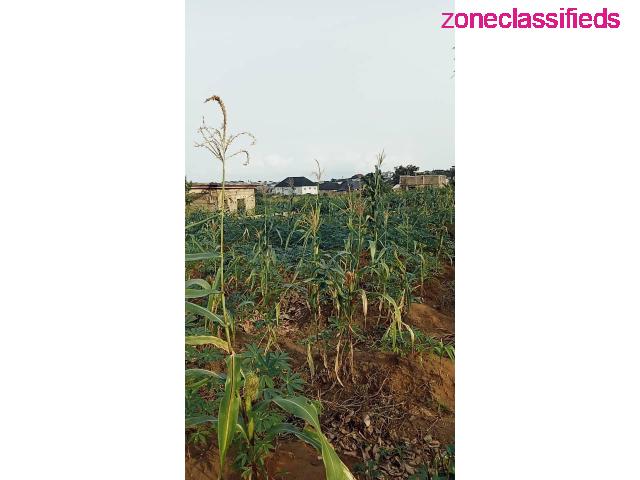 Land For Sale at a Fast Developing Area in Asaba (Call 08036488248) - 5/7