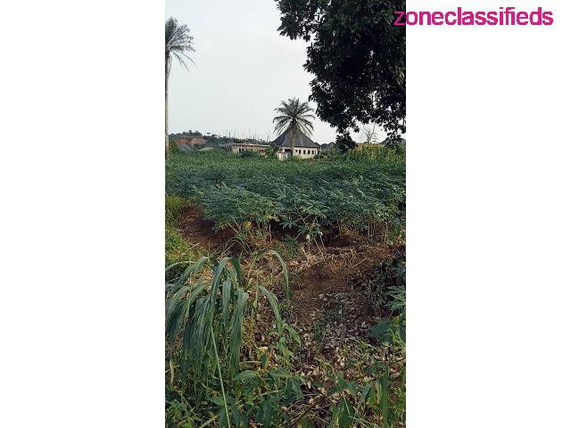 Land For Sale at a Fast Developing Area in Asaba (Call 08036488248) - 6/7