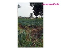Land For Sale at a Fast Developing Area in Asaba (Call 08036488248) - Image 6/7