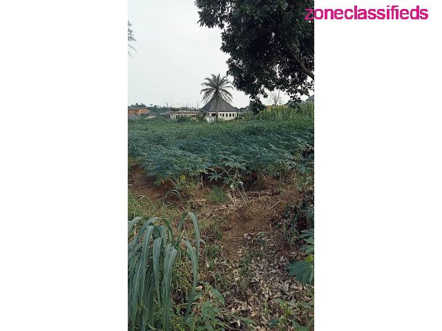 Land For Sale at a Fast Developing Area in Asaba (Call 08036488248) - 7/7
