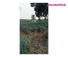 Land For Sale at a Fast Developing Area in Asaba (Call 08036488248) - Image 7/7