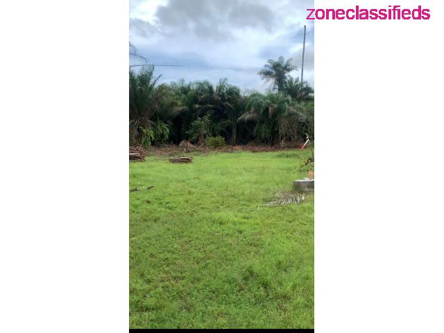 Lands For Sale at Coco Villas along Lekki Free Trade Zone (Call 08135017389) - 7/8