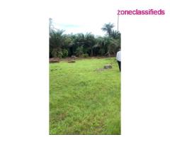 Lands For Sale at Coco Villas along Lekki Free Trade Zone (Call 08135017389) - Image 8/8