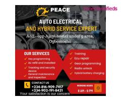 CONTACT US FOR PROFESSIONAL AUTO ELECTRICAL AND HYBRID SERVICE (CALL 09021918421)