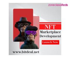NFT Marketplace Development Services - Bitdeal