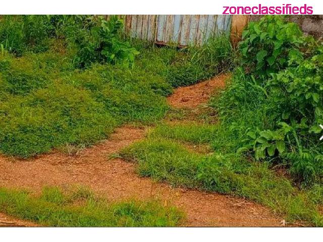 A Plot of Land Measuring 1330sqm at Enugu For Sale (Call 07086167374) - 1/4
