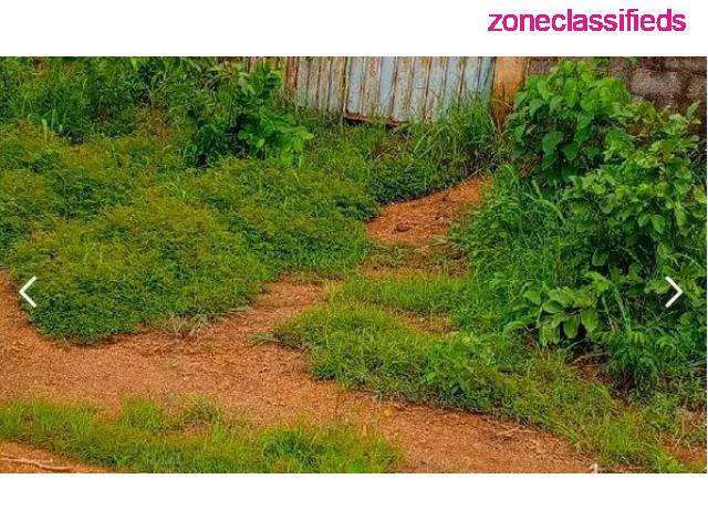 A Plot of Land Measuring 1330sqm at Enugu For Sale (Call 07086167374) - 2/4