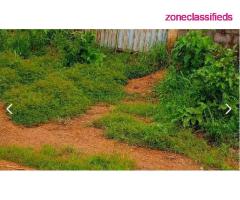 A Plot of Land Measuring 1330sqm at Enugu For Sale (Call 07086167374)