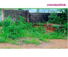 A Plot of Land Measuring 1330sqm at Enugu For Sale (Call 07086167374) - Image 3/4
