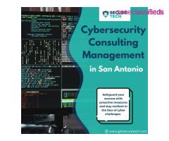 Empower Your Business with Proactive Cybersecurity Consulting Management: Secure Tech