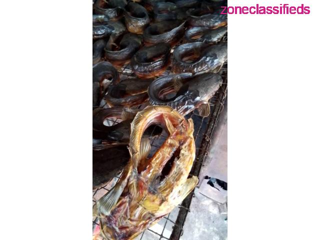 We Sell Dehydrate Produces Like Vegetables, Fish, Snail etc. (Call 07081556333) - 1/7