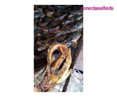 We Sell Dehydrate Produces Like Vegetables, Fish, Snail etc. (Call 07081556333) - Image 1/7