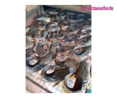 We Sell Dehydrate Produces Like Vegetables, Fish, Snail etc. (Call 07081556333) - Image 2/7