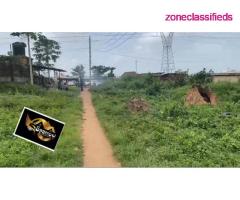 FOR SALE - A Plot of Land at Onimalu Ilogbo Road facing Major Street Road (Call 08020613504) - Image 3/5