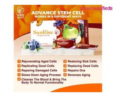 Stem Cell Supplements Package including Sunrise, Sunset and ColonGuard Supplements - Image 5/8