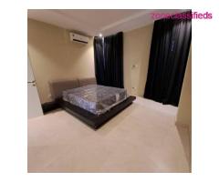LUXURY 3 BEDROOM FLAT WITH A POOL & BQ FOR SALE AT LEKKI PHASE 1 (CALL 09121189076) - Image 10/10