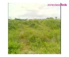 500 sqm Land Plots for Sales at Atan, Ogun State (Call 08033086980) - Image 1/4