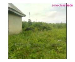 500 sqm Land Plots for Sales at Atan, Ogun State (Call 08033086980) - Image 4/4
