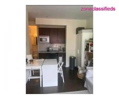 Comfortable apartment for rent - Image 2/4