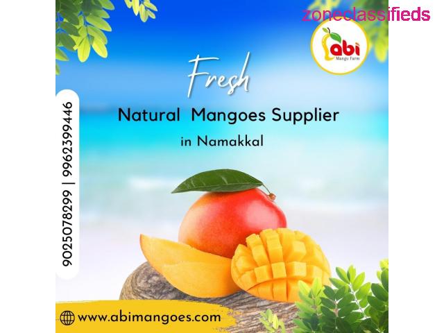 One of the Best Online Sellers in Namakkal by Abi Mangoes - 1/1