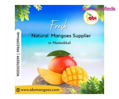 One of the Best Online Sellers in Namakkal by Abi Mangoes