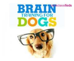 Dog education with heart and brain