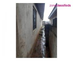 FOR SALE - 3 Bedrooms Bungalow and A Shop on Half a Plot (Call 08133868802) - Image 9/10