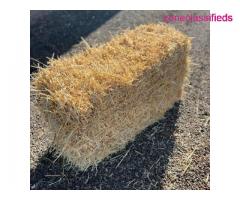 Alfalfa Timothy and Orchardgrass hay bales - Image 3/10